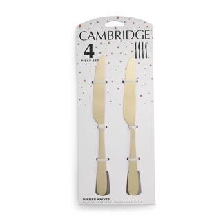 Cambridge Eliana Champagne Dinne Knife - Set of 4, stainless steel
