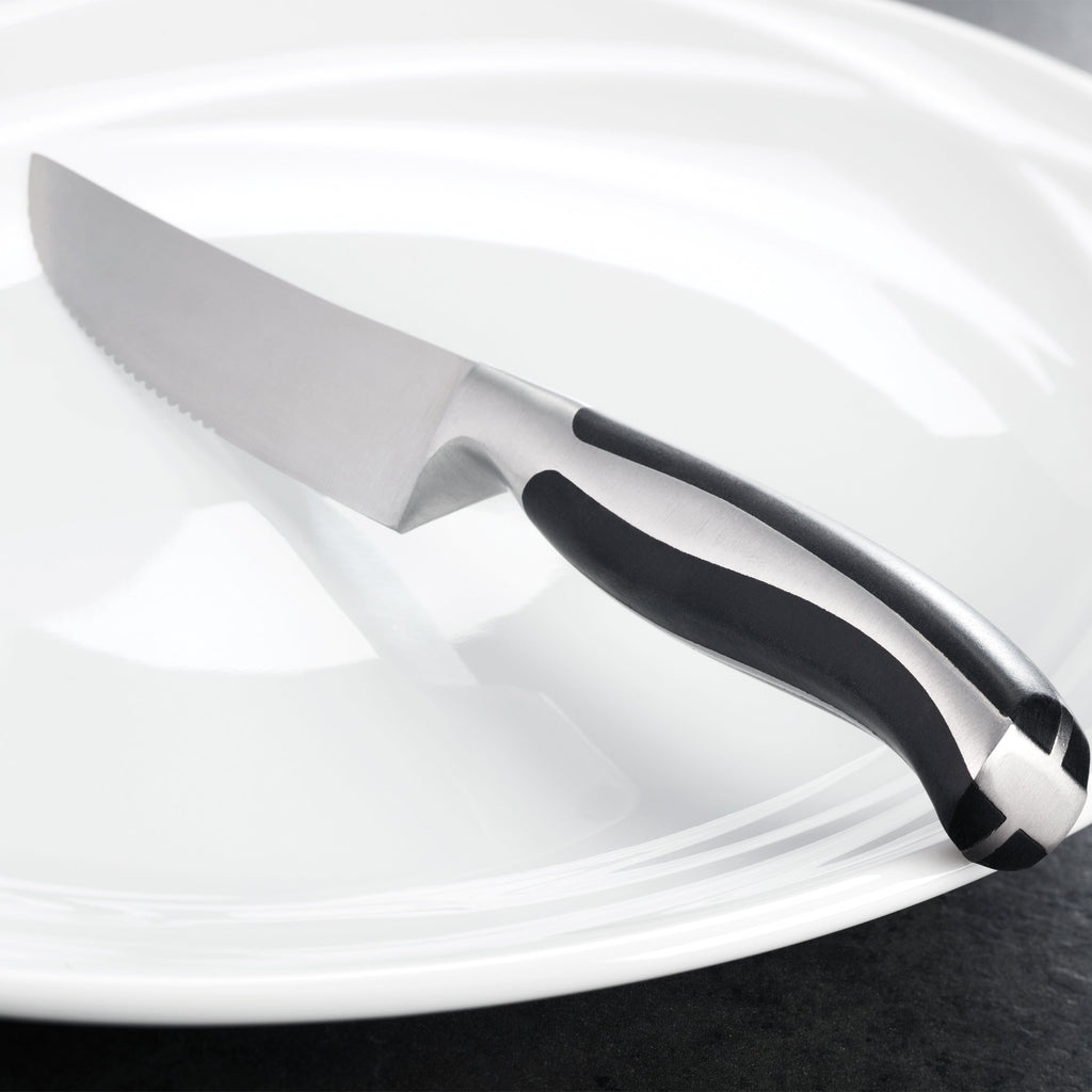 Oneida Contour Steak Knives, Set of 4, stainless steel/abs (view 5)