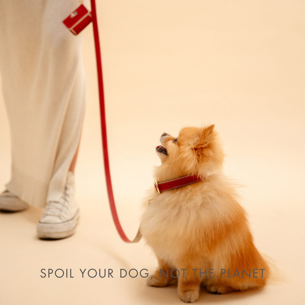 Copenhagen Vegan Leather Dog Leash 4ft | Soft & Stylish Nordic Design