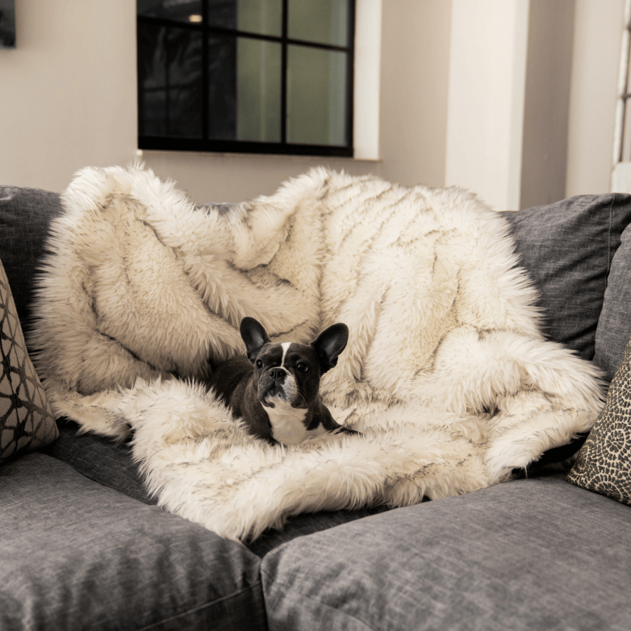 PupProtector™ Waterproof Throw Blanket – White with Brown Accents