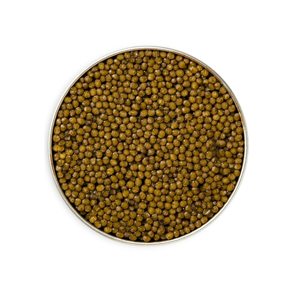 Kaluga Reserve Caviar