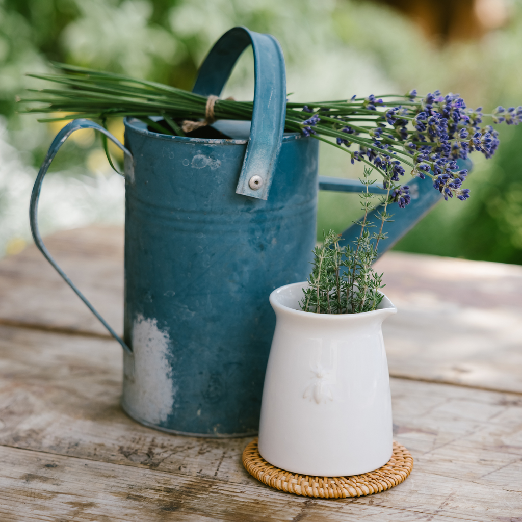 Bee Ceramic Creamer — Set of 1