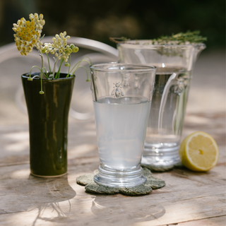 Bee Iced Tea Glasses — Set of 6