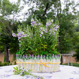 Asparagus Vase, Oval