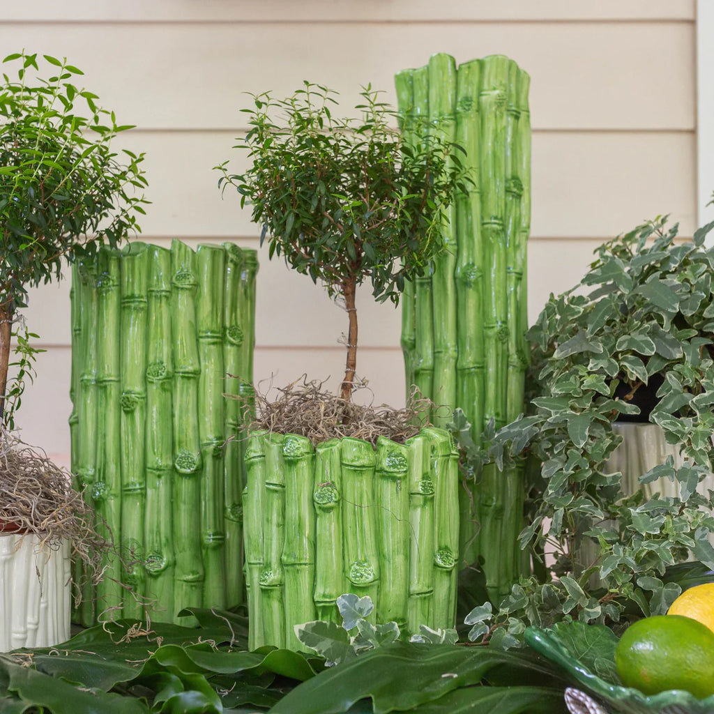 Bamboo All Around Vase, Green, Small/Medium/Large