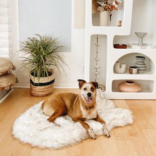 PupRug by Paw.com® Faux Fur Orthopedic Dog Bed – Curve White with Brown Accents