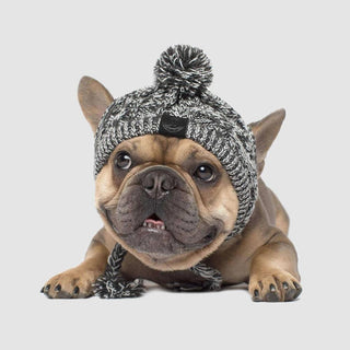 Winter Knitted Pet Hat – Cozy Fluffy Pom Pom Dog & Cat Beanie