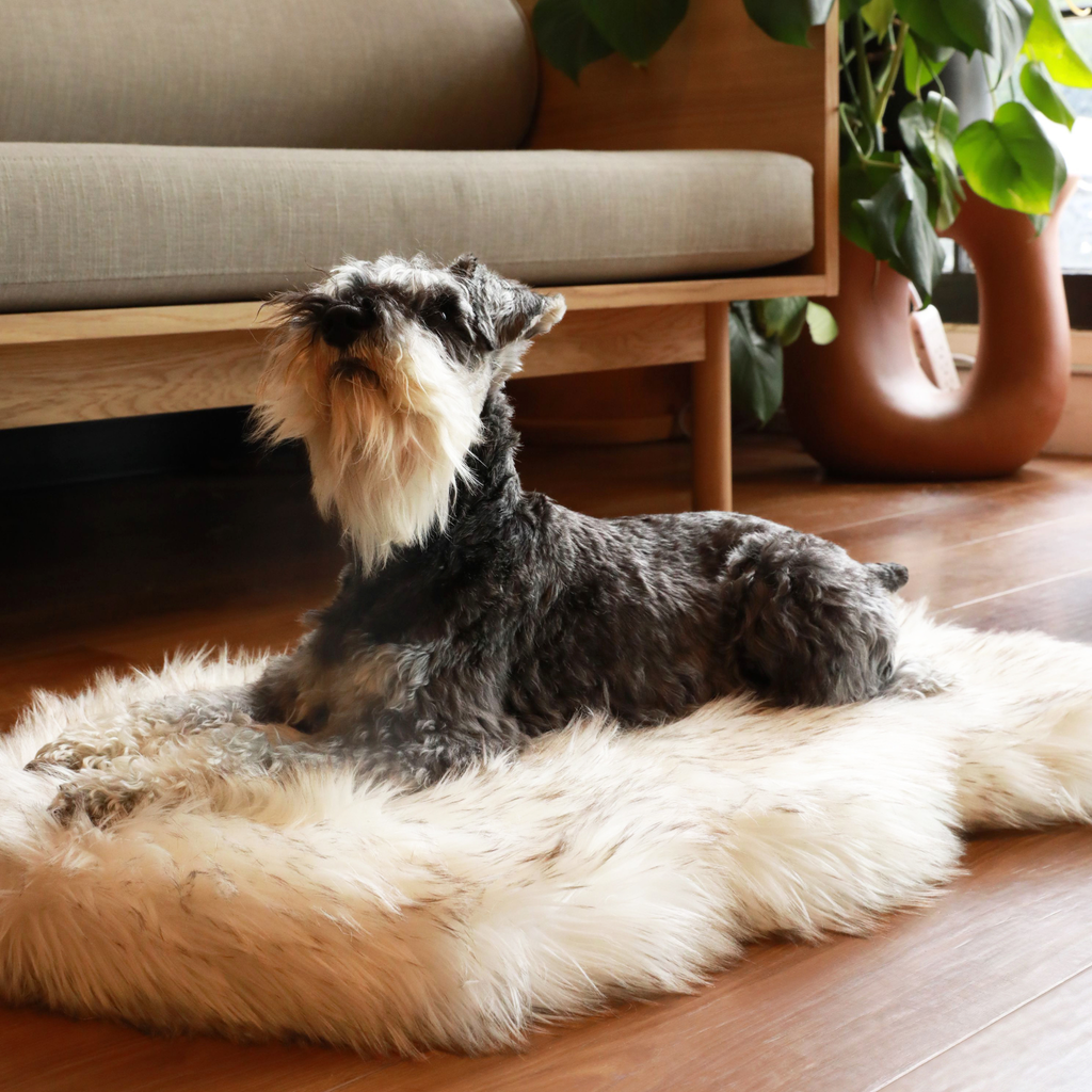 PupRug by Paw.com® Faux Fur Orthopedic Dog Bed – Curve White with Brown Accents