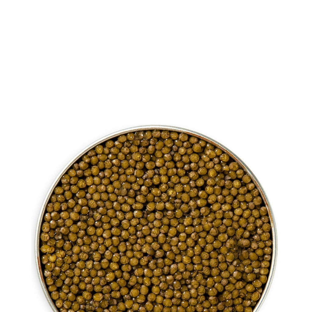 Kaluga Reserve Caviar