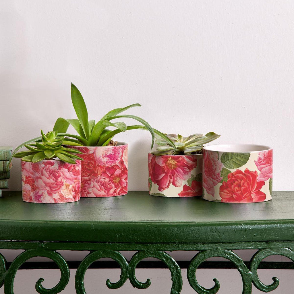 Rose Floral Ceramic Cachepots – Rose Marie & Rose Bud Styles