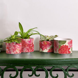 Rose Floral Ceramic Cachepots – Rose Marie & Rose Bud Styles