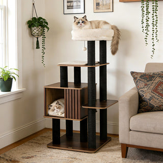 53.5-Inch Wooden Cat Tree with Padded Top Perch and Condo – Brown