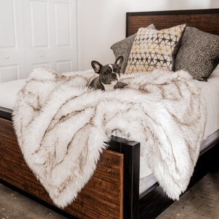 PupProtector™ Waterproof Throw Blanket – White with Brown Accents
