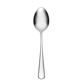 Oneida Chapman Serving Spoon, 18/0 stainless steel