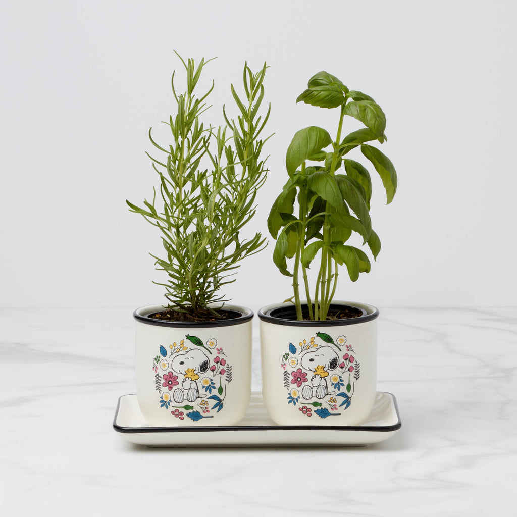 Lenox Chef Snoopy Herb Pots, Set Of 3, porcelain • hand wash • includes (2) herb pots and (1) tray • each herb pot measures 4