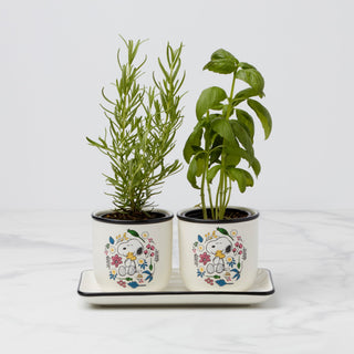 Lenox Chef Snoopy Herb Pots, Set Of 3, porcelain • hand wash • includes (2) herb pots and (1) tray • each herb pot measures 4