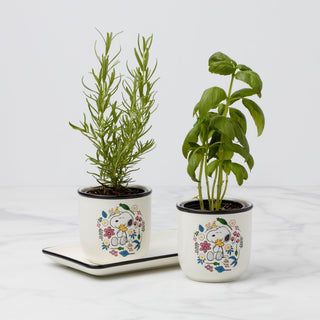 Lenox Chef Snoopy Herb Pots, Set Of 3, porcelain • hand wash • includes (2) herb pots and (1) tray • each herb pot measures 4