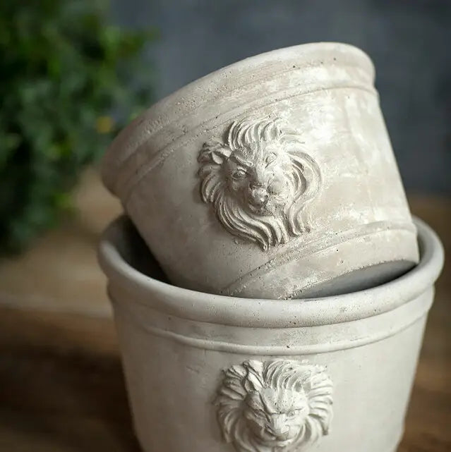 Cast Cement Lion Head Planter with Double-Sided Design