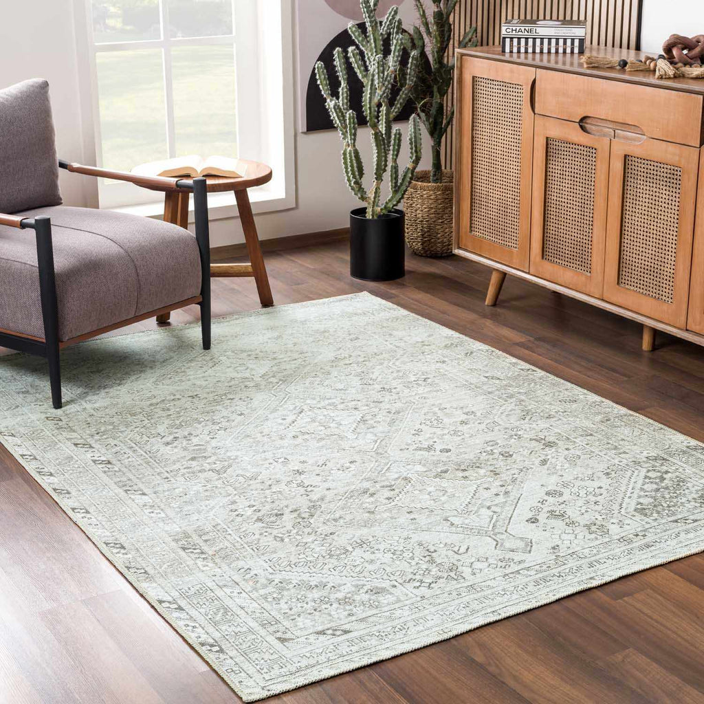 Barny Sage Flat Pile Washable Rug – Soft Modern Area Carpet for Home