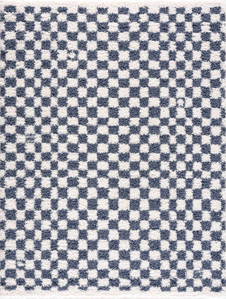 Kieu Blue White Checkered Area Rug – Modern Patterned Washable Carpet