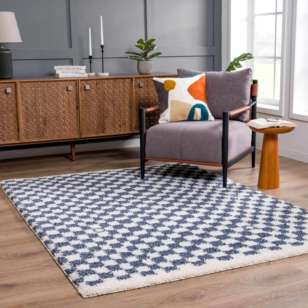 Kieu Blue White Checkered Area Rug – Modern Patterned Washable Carpet
