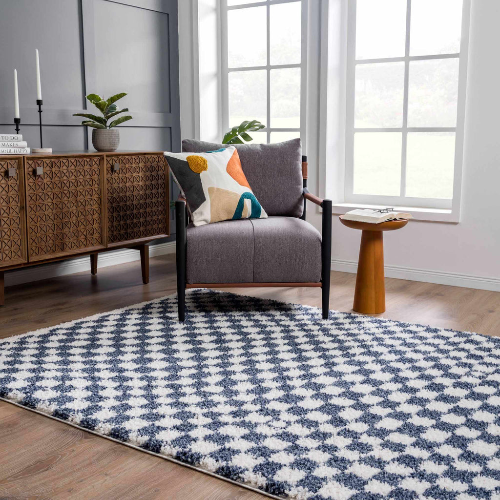 Kieu Blue White Checkered Area Rug – Modern Patterned Washable Carpet