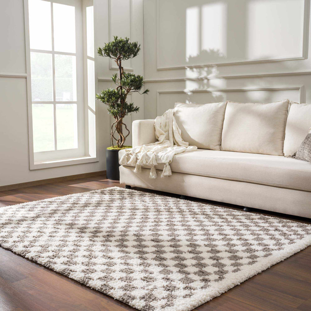 Kieu Taupe Checkered Plush Rug – Soft Modern Area Carpet for Living Room