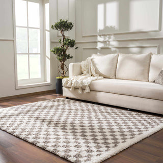 Kieu Taupe Checkered Plush Rug – Soft Modern Area Carpet for Living Room