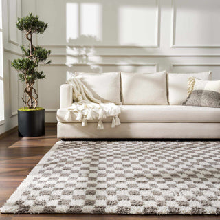Kieu Taupe Checkered Plush Rug – Soft Modern Area Carpet for Living Room