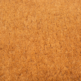 Black Border Natural Coir Doormat