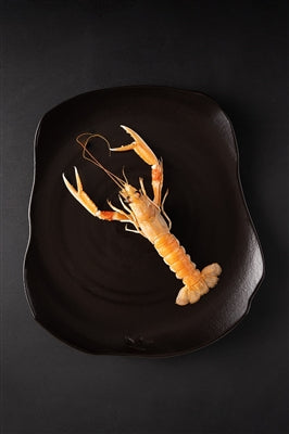 Extra Large Ceramic Board Plates – Set of 2 in Black Matte, White Gloss, or Platinum Glaze | Organic Shape