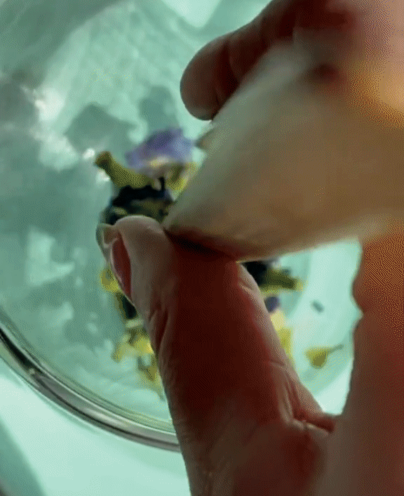 Butterfly Pea Tea – Single Origin Caffeine-Free Herbal Flower