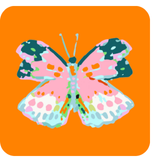 Summerfly Butterfly Coasters – Set of 4
