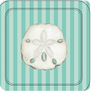 Shell Collector Coastal Coasters – Set of 4