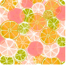 Elegant Squeeze The Day Citrus Coasters – Set of 4