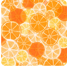 Elegant Squeeze The Day Citrus Coasters – Set of 4