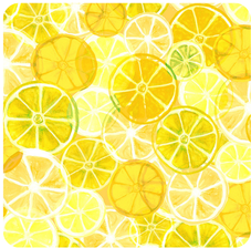 Elegant Squeeze The Day Citrus Coasters – Set of 4