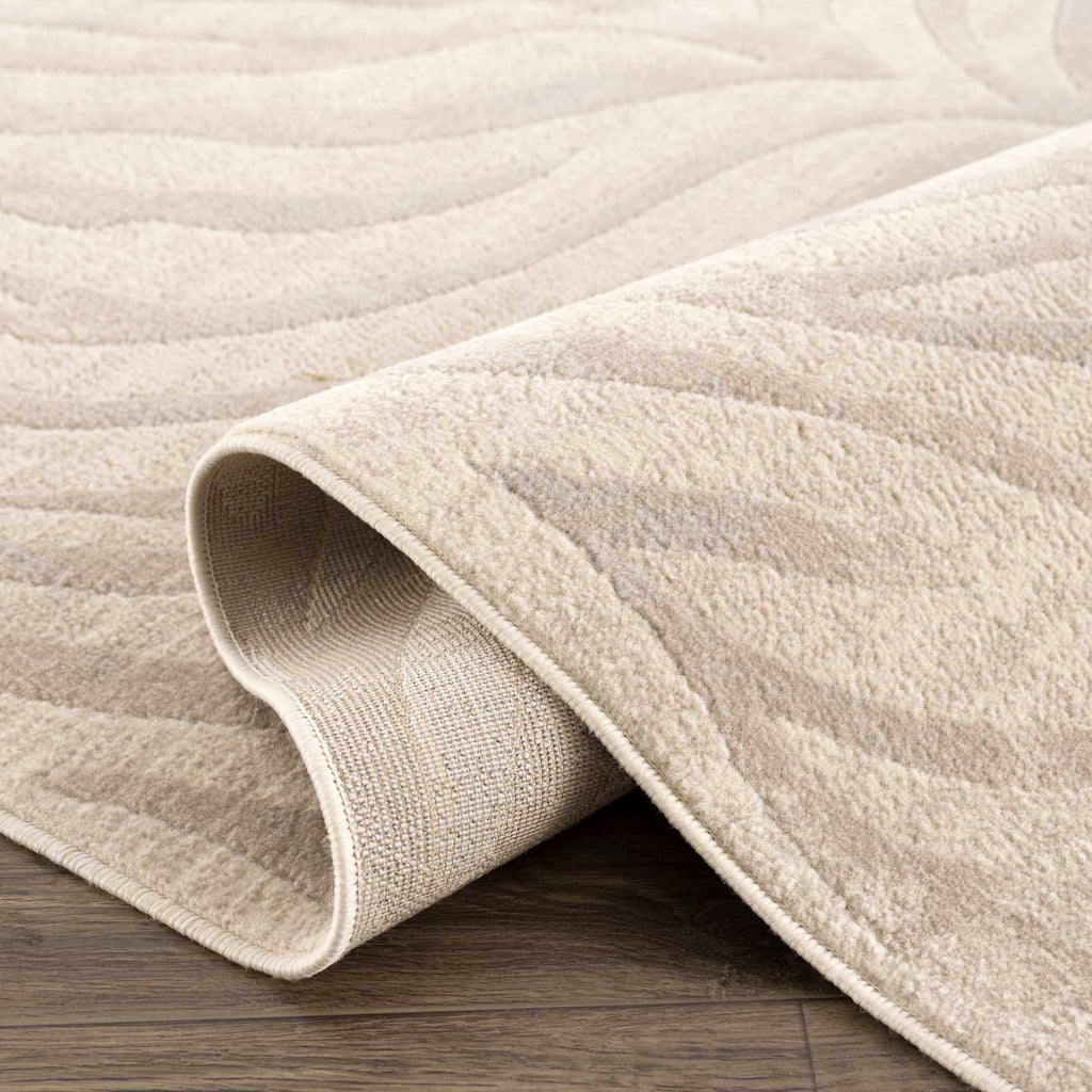 Beige Manteca Zebra Print Area Rug – Stylish Animal Print Living Room Carpet