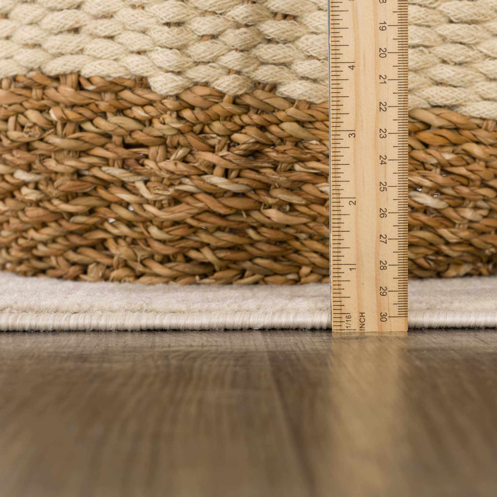 Beige Manteca Zebra Print Area Rug – Stylish Animal Print Living Room Carpet