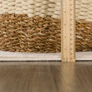 Beige Manteca Zebra Print Area Rug – Stylish Animal Print Living Room Carpet