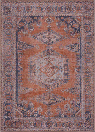 Taber Burnt Orange Persian Style Rug – Traditional Washable Vintage Carpet