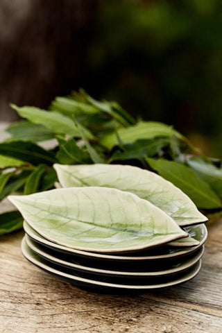 COSTA NOVA – Casafina Riviera Laurel Leaf Plate 7