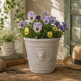 Cast Cement Lion Head Planter with Double-Sided Design