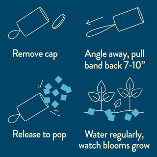 Seed Confetti Popper – Plantable Celebration Confetti