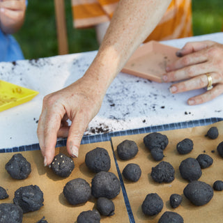 Seed Ball Garden Kits
