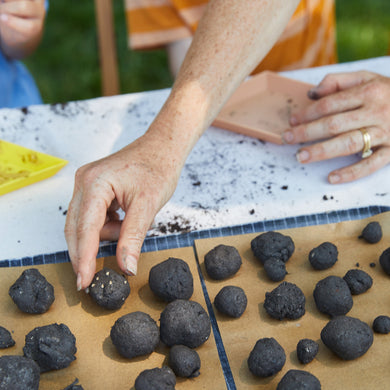 Seed Ball Garden Kits