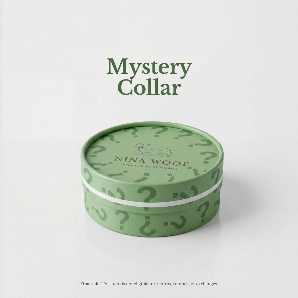 Eco-Friendly Vegan Dog Collar | Modern, Comfortable Pet Collar