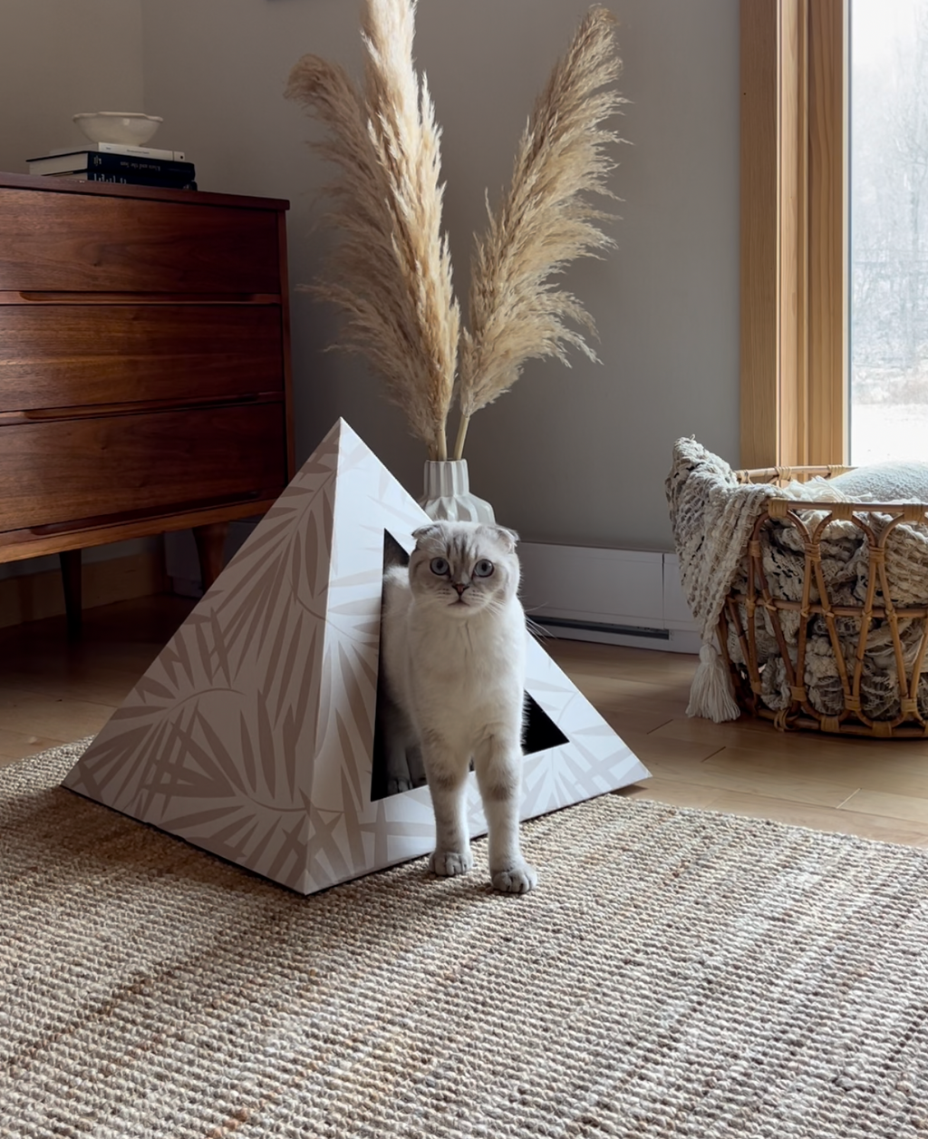 Neutral Palm Cardboard Cat Pyramid | Eco-Friendly Kitty Hideaway