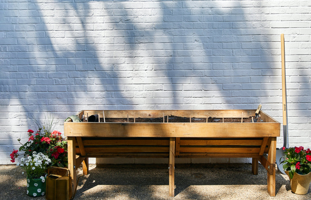 Flower Seed Pops – Growable Wildflower Gift Pops