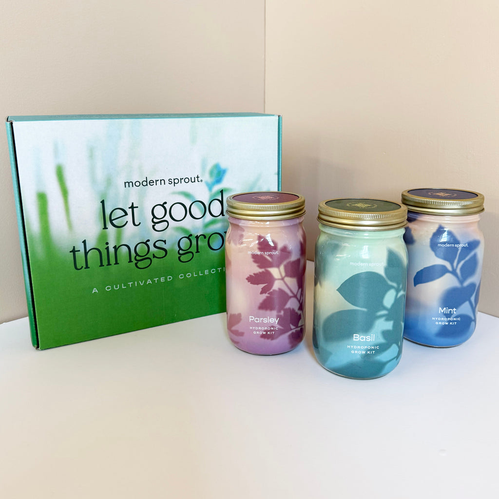 Garden Jars – Organic Herb Growing Kit